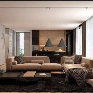 Modern Living Room Interior design with contemporary furniture